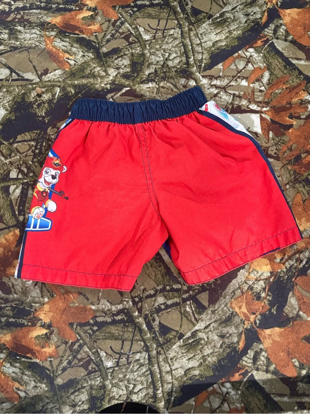 Nickelodeon swim trunks